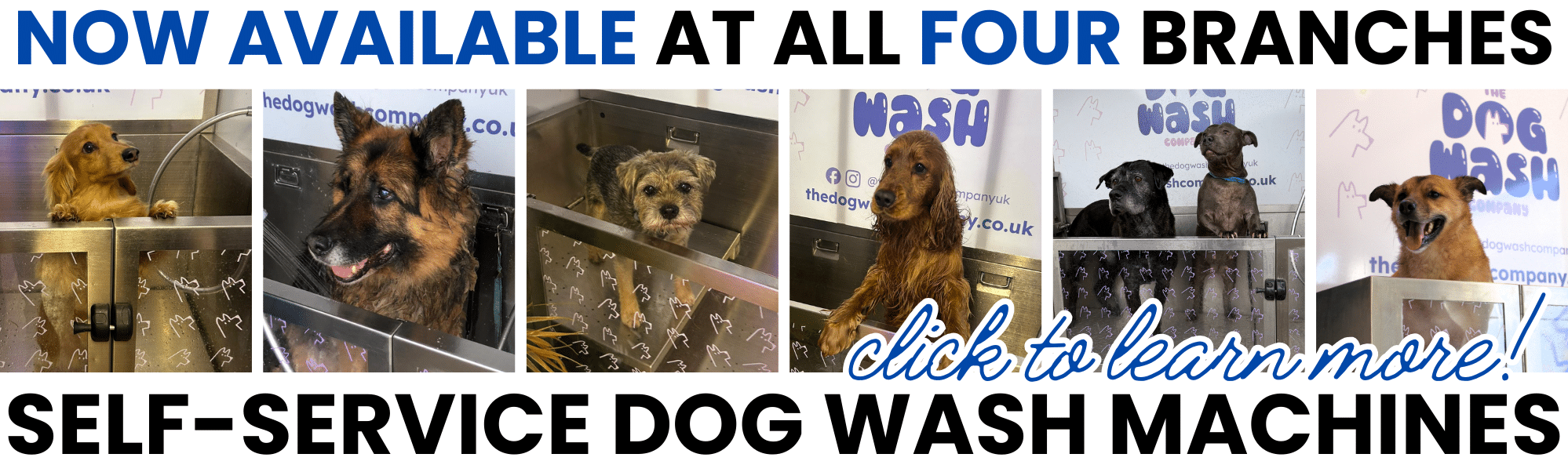 self-service dog wash machines