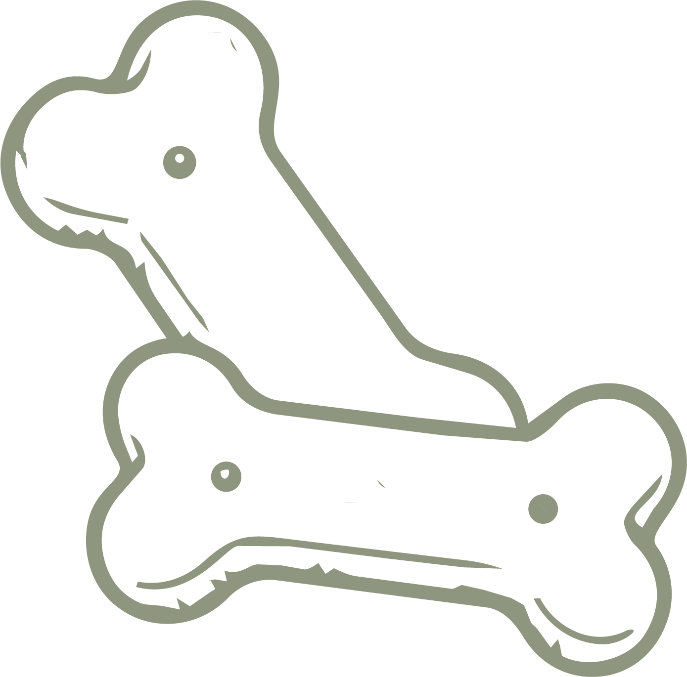 bones icon