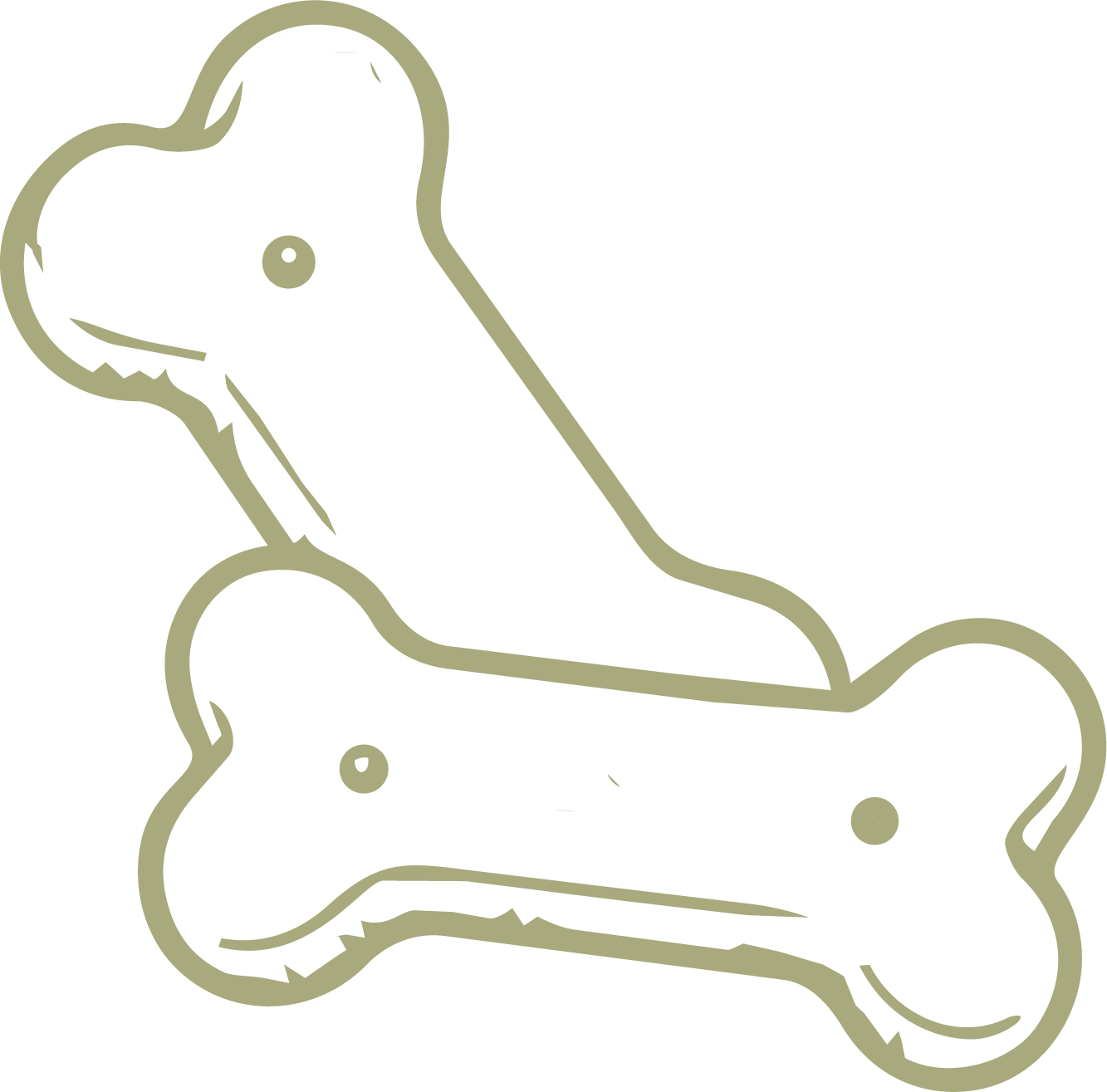 bones icon