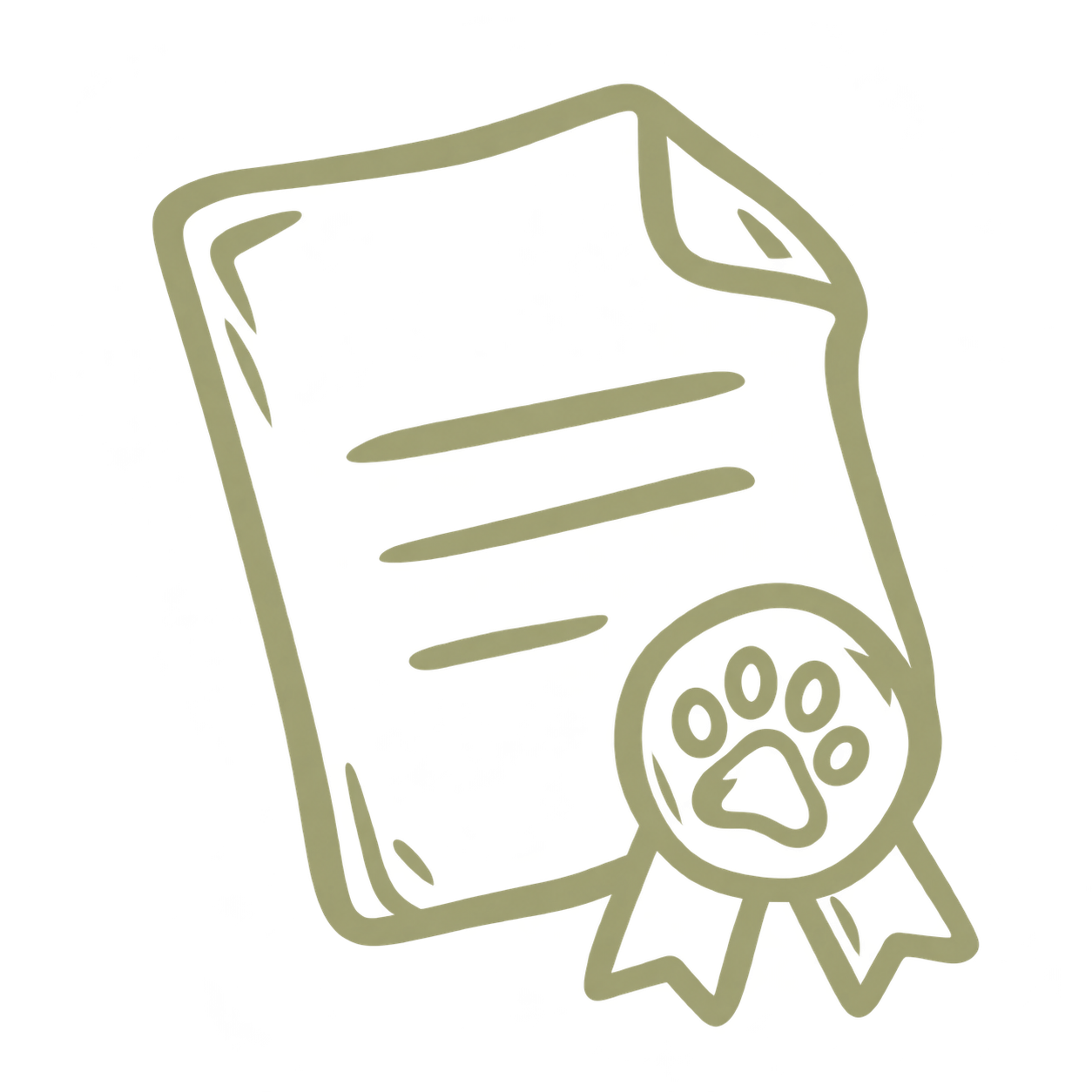 Certificate icon
