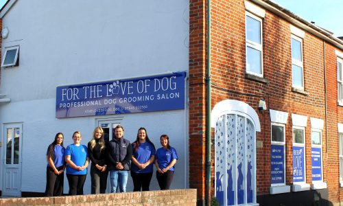For The Love of Dog - Ringwood Salon - image 2