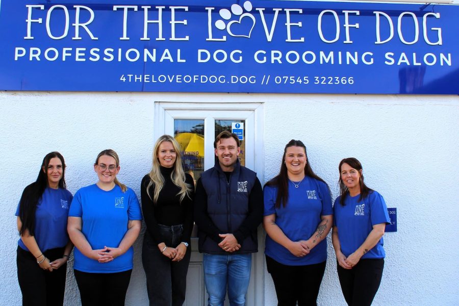 For The Love of Dog - Ringwood group - image 1